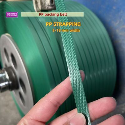 PET Plastic Steel Belt Production Line Single Screw PET Belt Manufacturing Equipment 100-200m/min